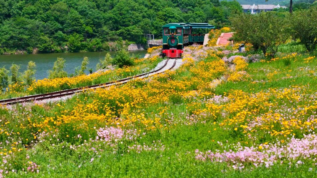 驻马店确山：最美四月天 相约老乐山