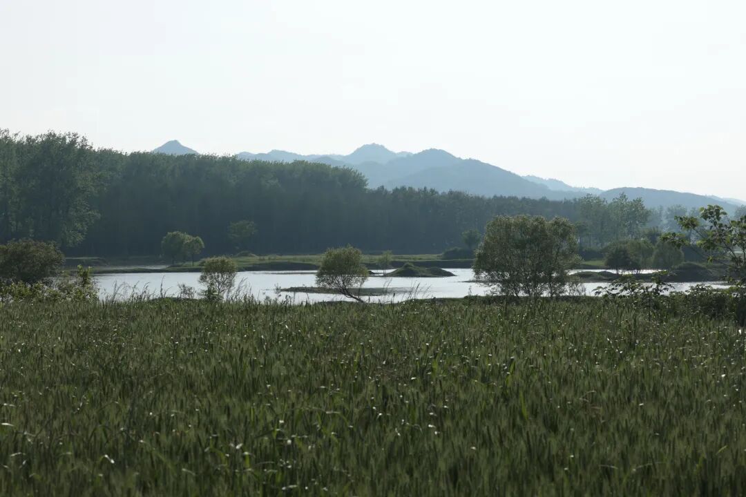 ed6f7134c3b445e9a0aeb94cb04f0f6a_tplv-obj.jpg