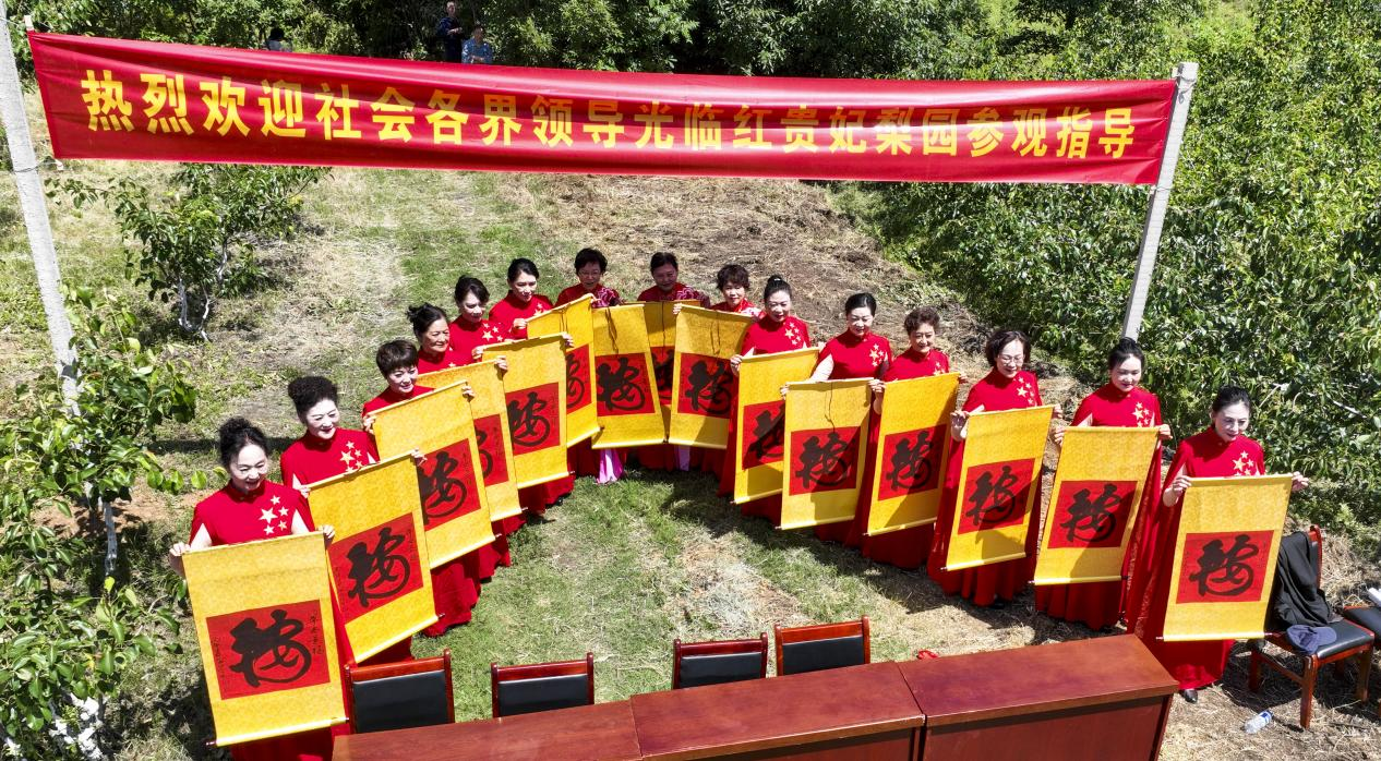 图片4.png